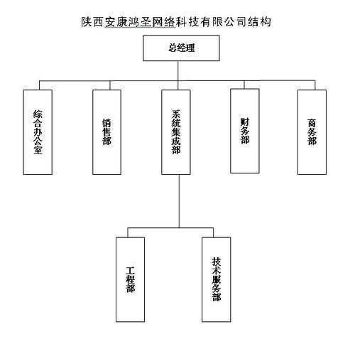 陕西安康鸿圣网络科技与鸿先网络 双翼齐飞的数字科技力量